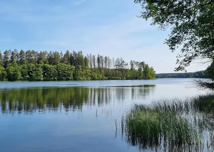 Amazing In Rekowo 펜션 *