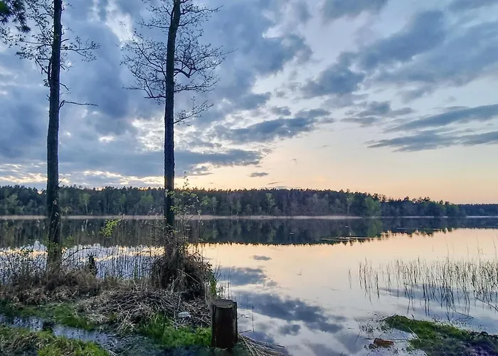 Amazing In Rekowo 펜션 Rekowo (Bytow)