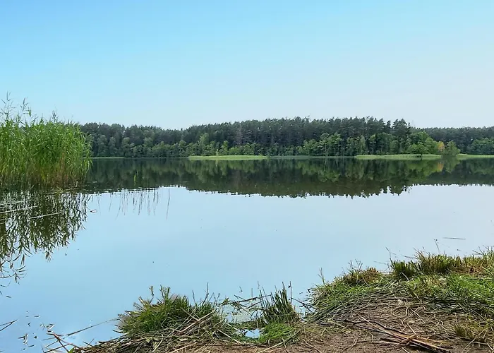 Amazing In Rekowo * Rekowo (Bytow)